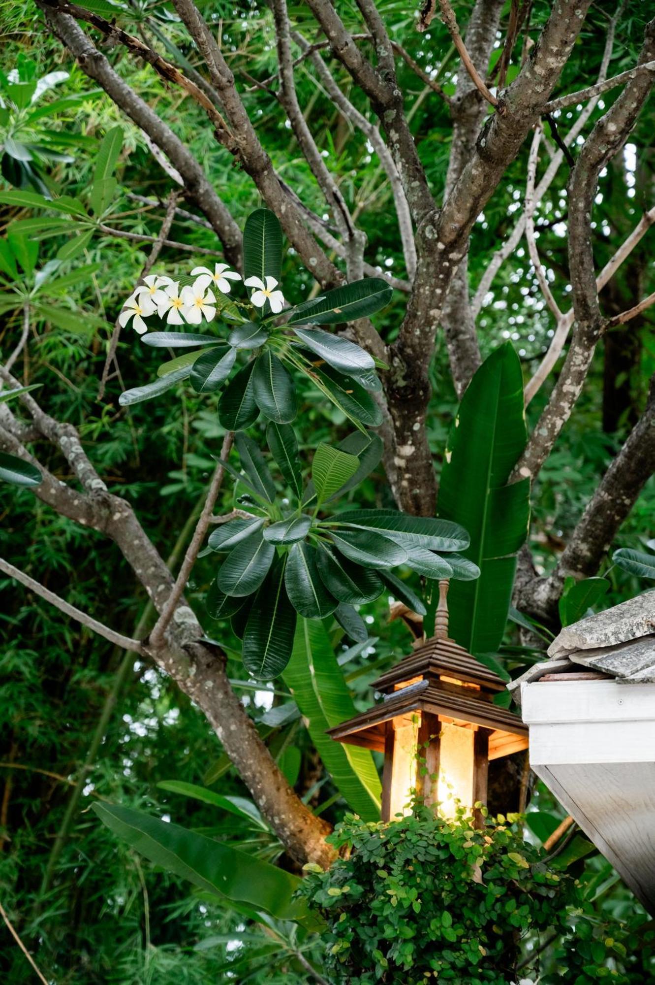 Private Villa 6 Bedrooms