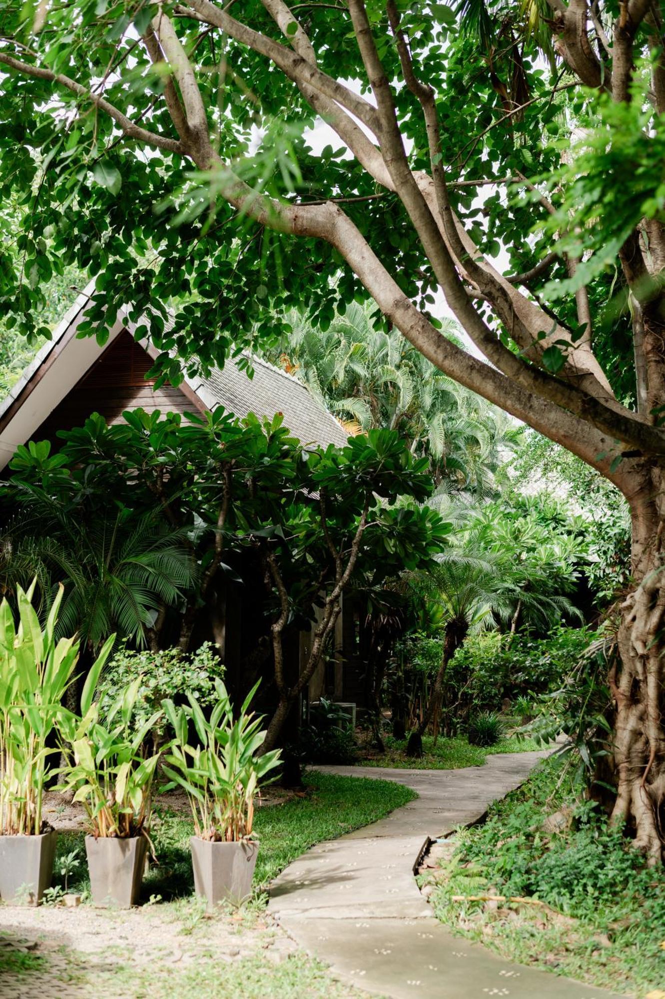 Private Villa 6 Bedrooms