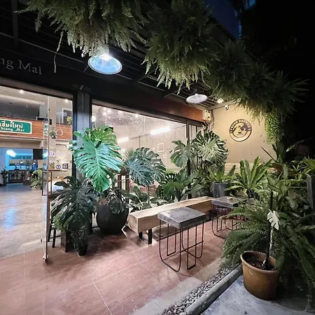 B House Chiang Mai Thailand-2