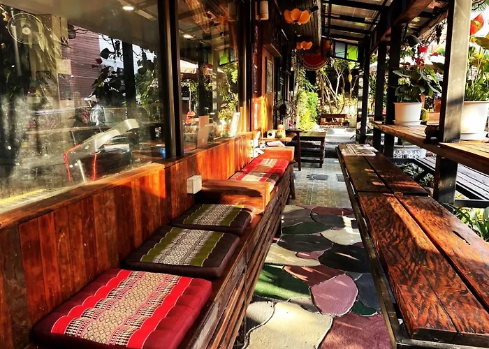 Auberge de jeunesse Panda House Chiang Mai acceptant les animaux