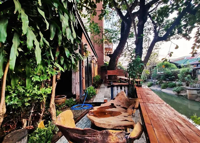 Auberge de jeunesse Panda House Chiang Mai acceptant les animaux